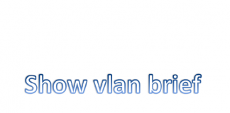 بررسی اطلاعات VLAN