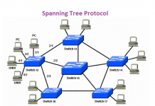 Spanning Tree Protocol