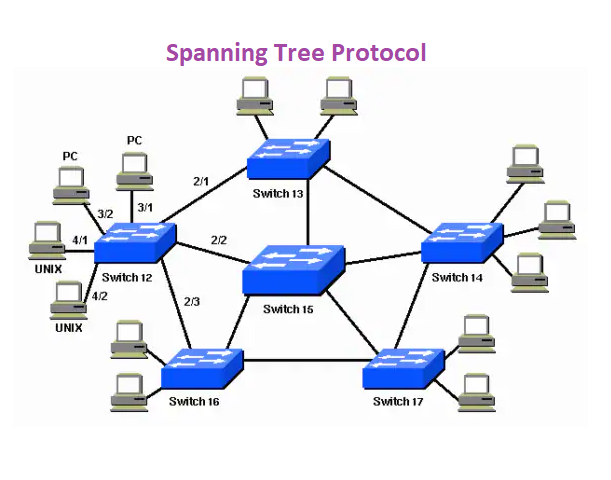 Spanning Tree Protocol - شرکت فنآوران رایانه کیامهر