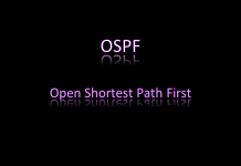 توضیحات مقدماتی پروتکل OSPF