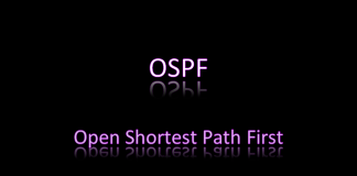 توضیحات مقدماتی پروتکل OSPF