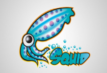 مفاهیم سرویس squid