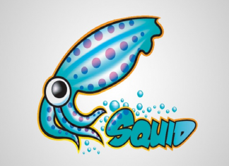 مفاهیم سرویس squid