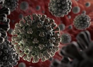 ساخت گجت کوچکی که با ارسال امواج فراصوت به طحال کرونا را درمان میکند